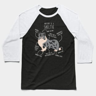 Bi Blue Sheltie Shetland Sheepdog Anatomy Baseball T-Shirt